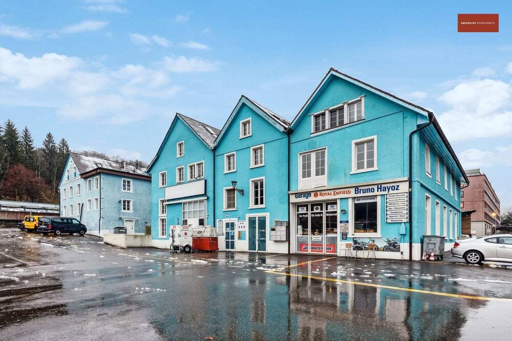 Dietikon District Apartment | Cozy Studio Charm Sum