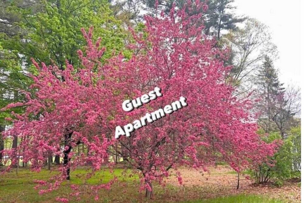 Westfield Apartment | Guest Apartment: 1bd/1ba/Full Kitchen/100% Private