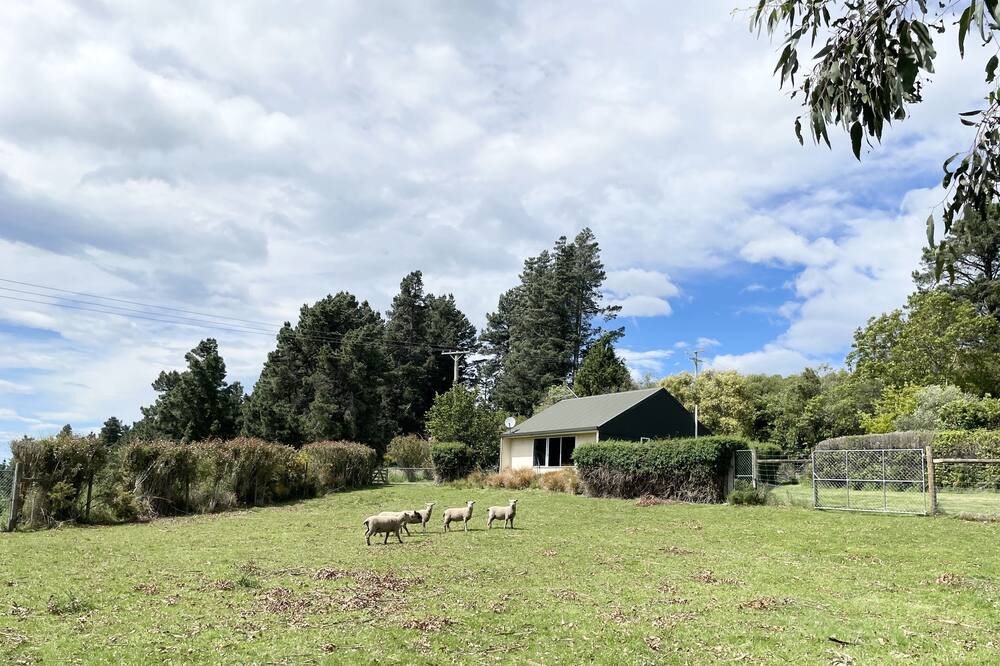 Springfield Cabin | Sunrise Mountain View Cabin