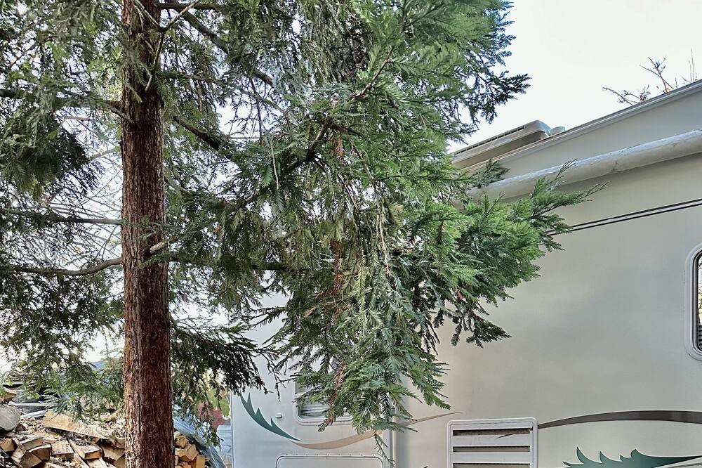 Lockeford House | Smack in the middle