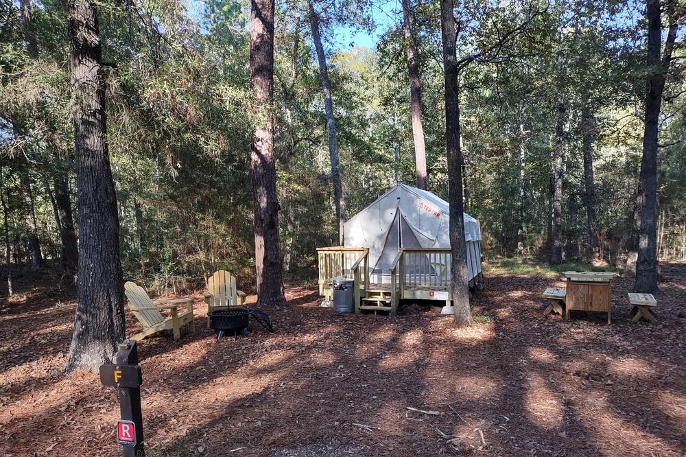 West Livingston RV Rental | Tentrr State Park Site - Texas Lake Livingston State Park - Site B - Single Camp