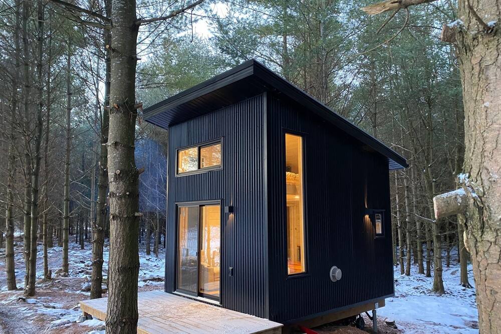Desboro Cabin | Cozy Little Cabin in the Pines