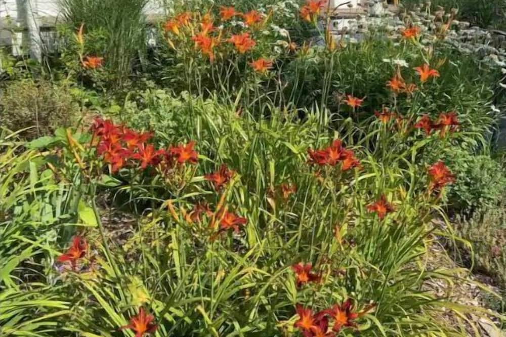 Town of Marbletown Apartment | Historic District Apartment