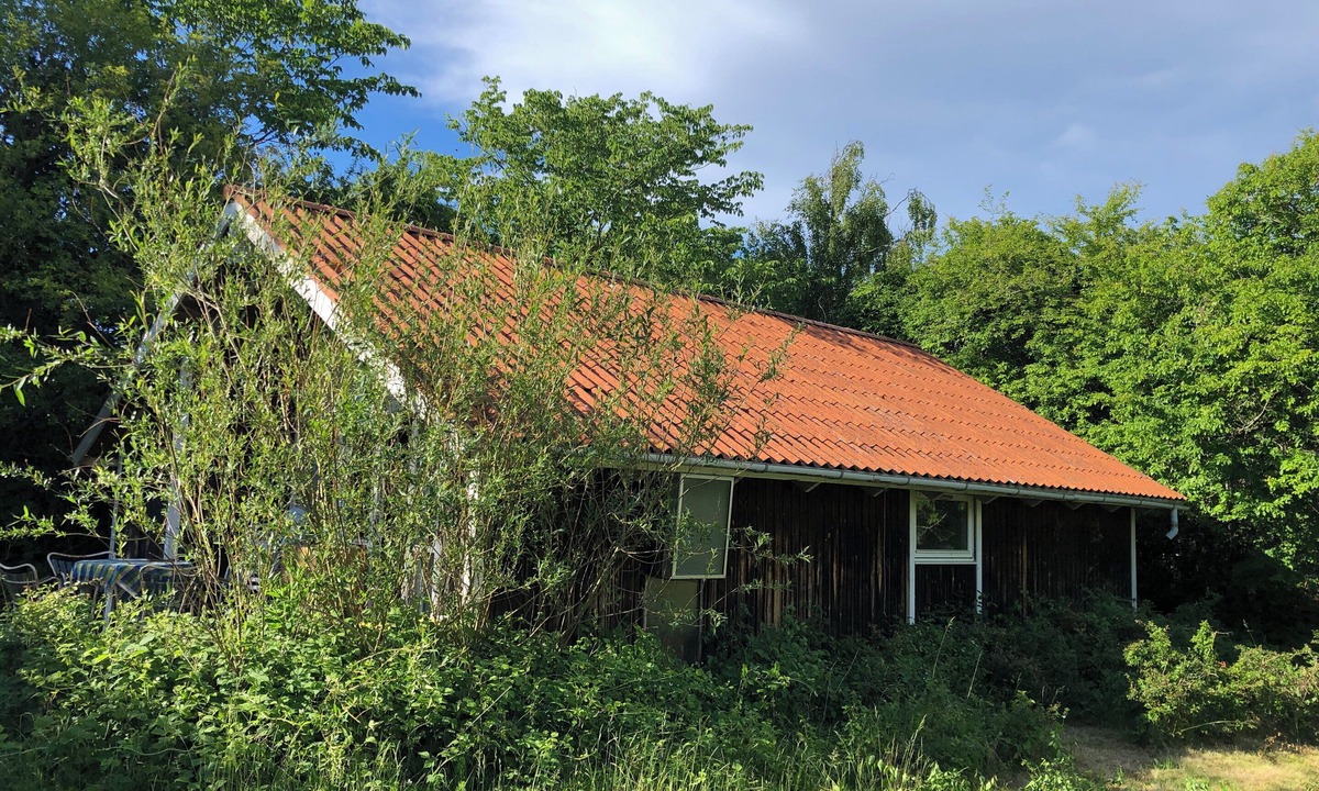 Holloselund House | Family-Friendly Home in Beautiful Setting