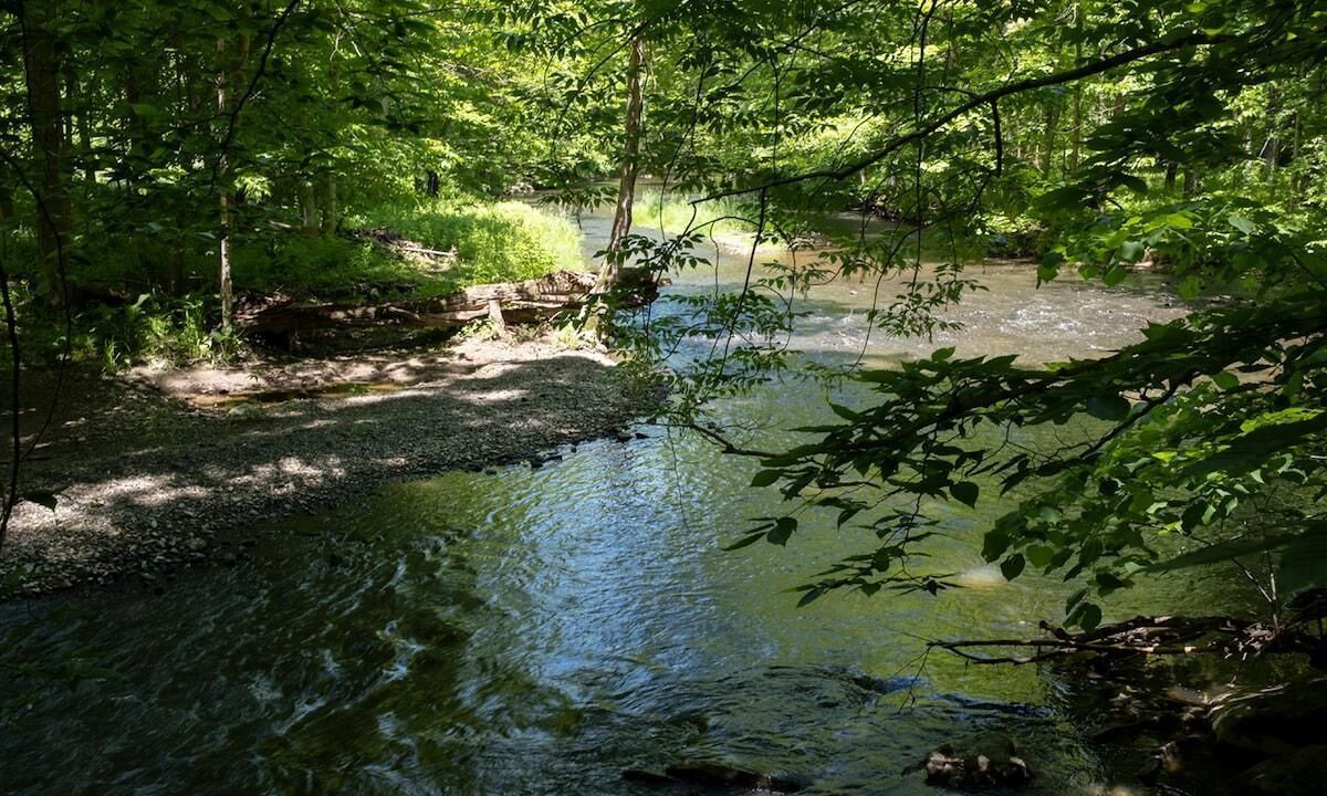 Tivoli House | Modern House, Wild Gardens, Peaceful Creeks - E 1