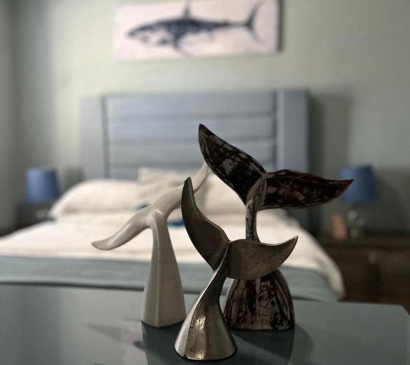 Palmetto House | Shark bedroom