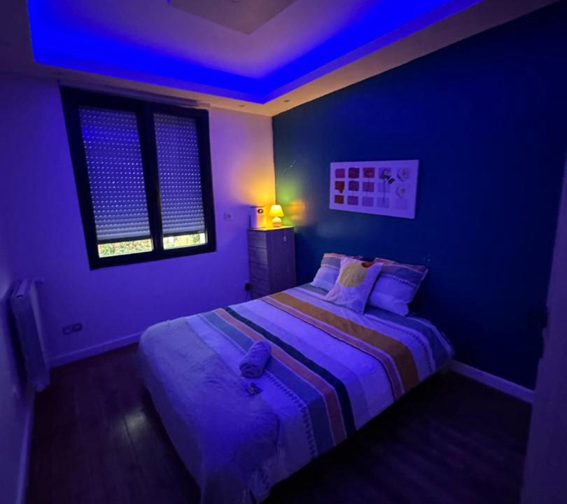 Maisdon-sur-Sevre Apartment | Spa relaxing