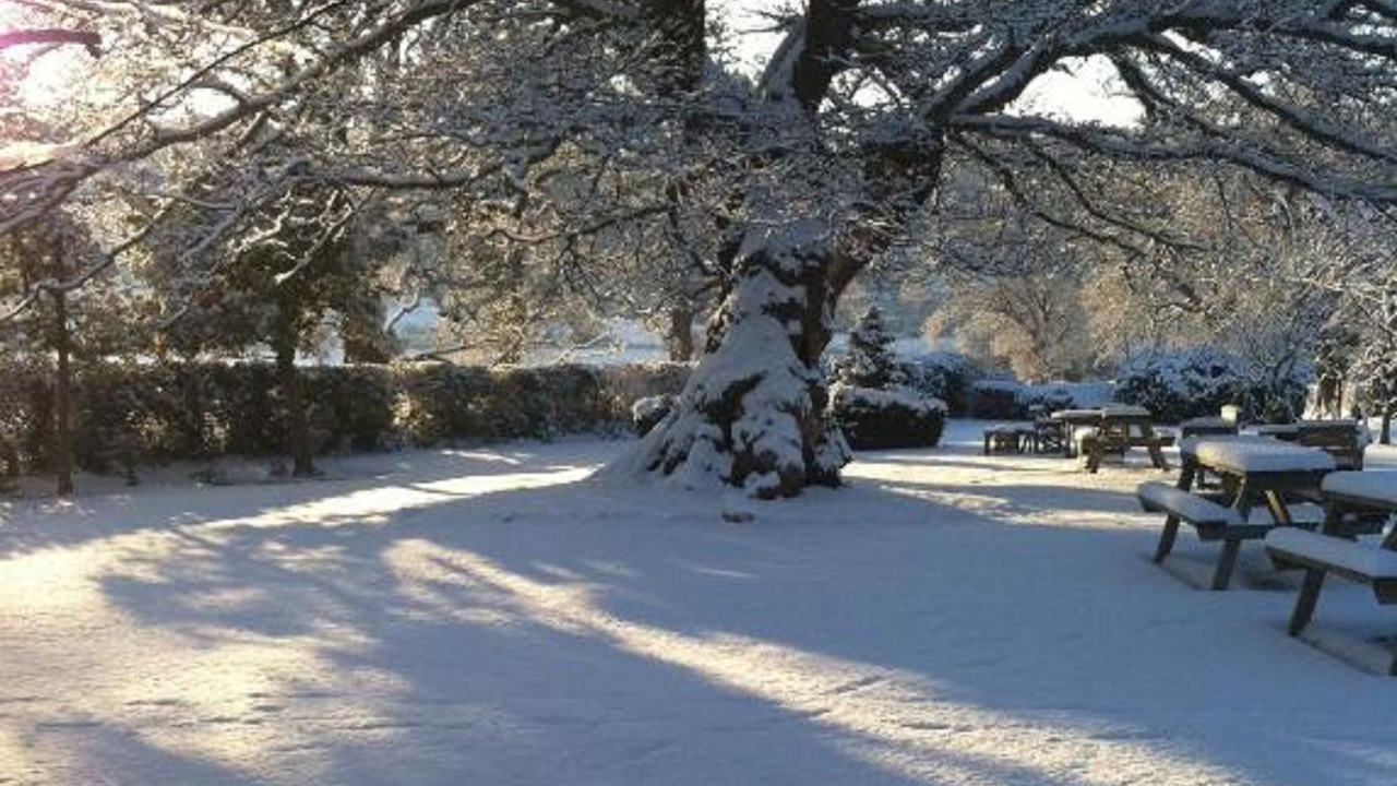 Photo of Buildings in St George