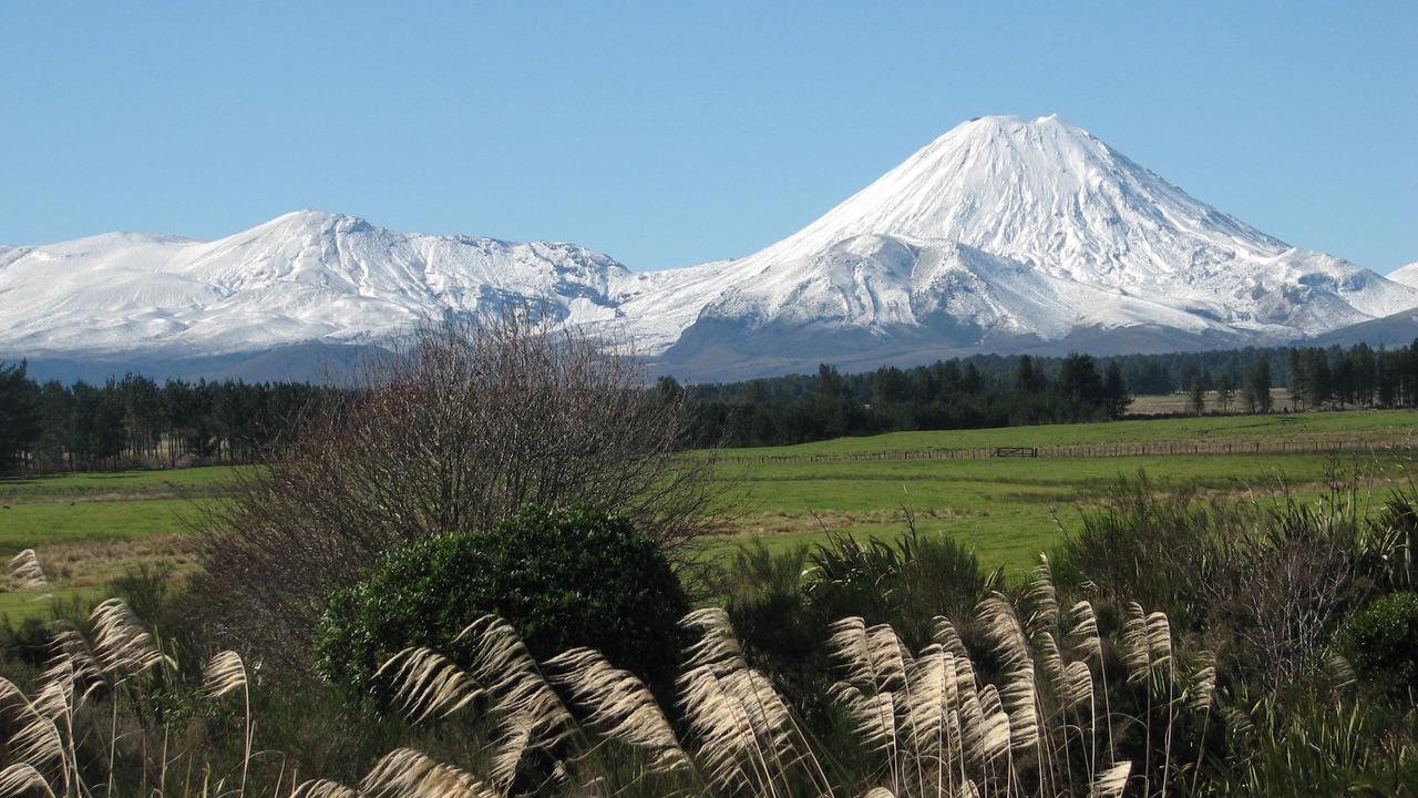 Photo of Others in National Park Village