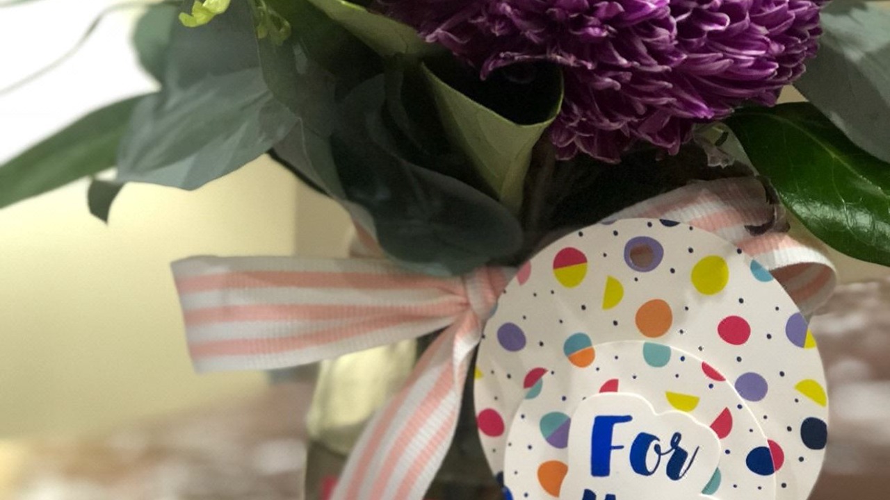 Photo of Others in North Adelaide