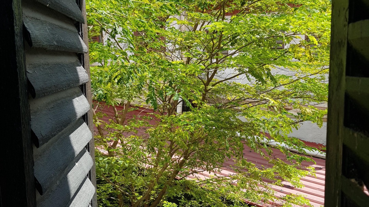 Photo of Others in Jawa