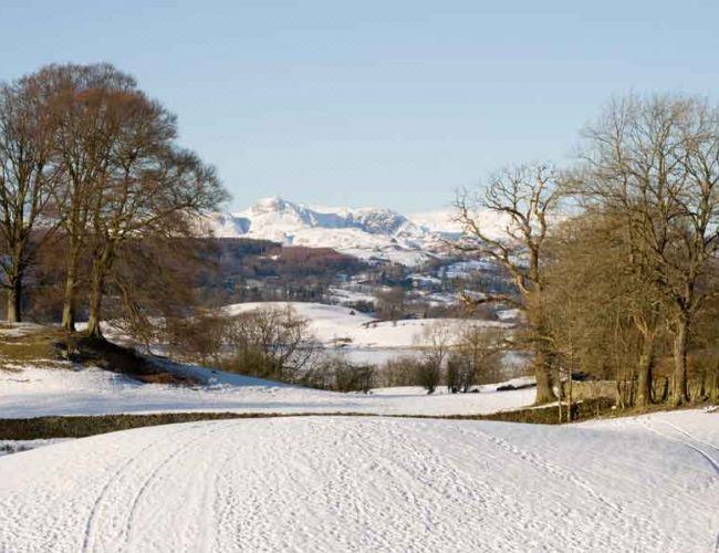 Photo of Others in Near Sawrey