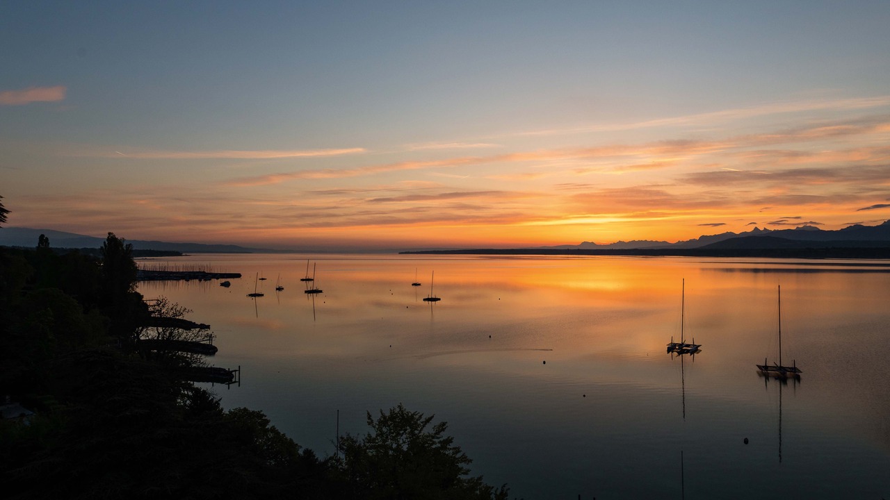 Photo of Outdoor in Versoix