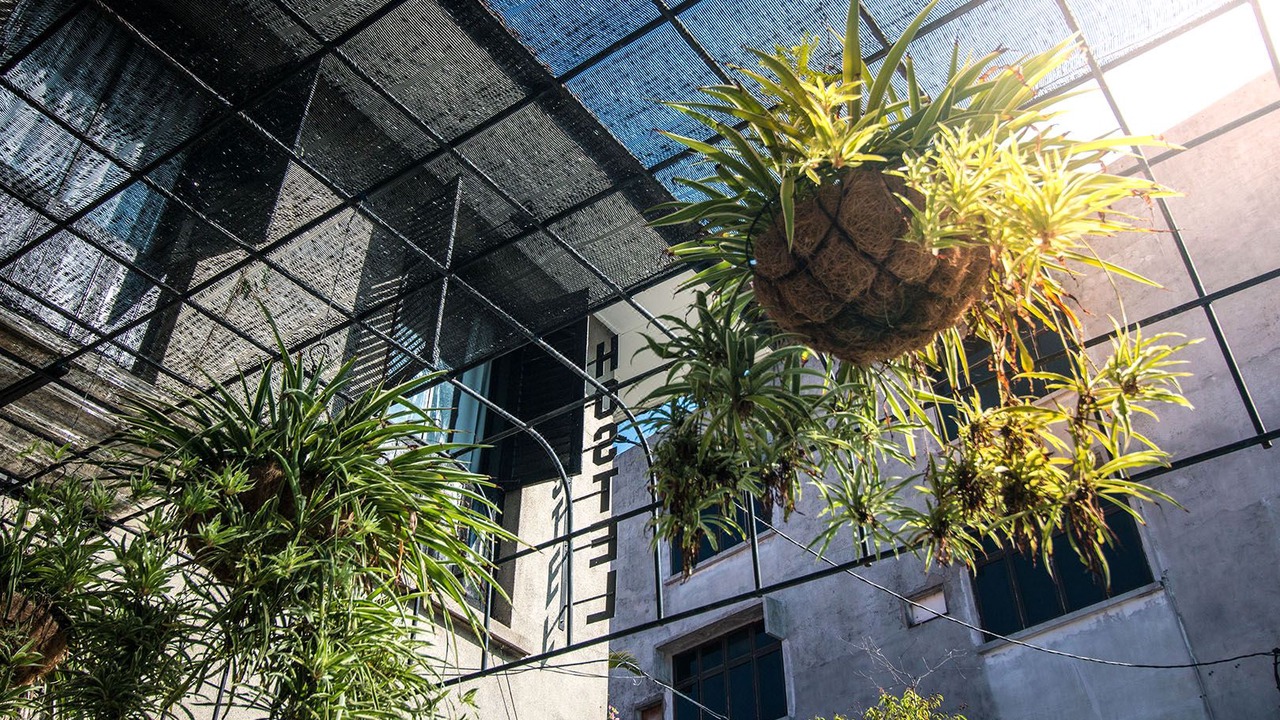 Photo of Buildings in Jawa