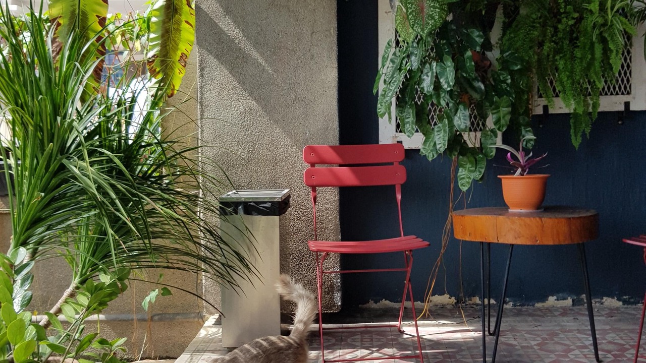 Photo of Patio Balcony in Jawa