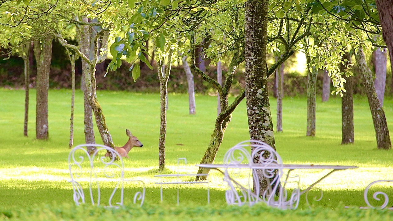 Photo of Others in Aurseulles