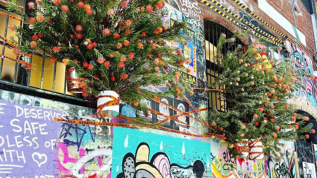 Photo of Others in Wantirna South