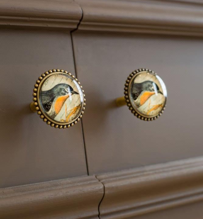 Photo of Others in Avignon City Centre