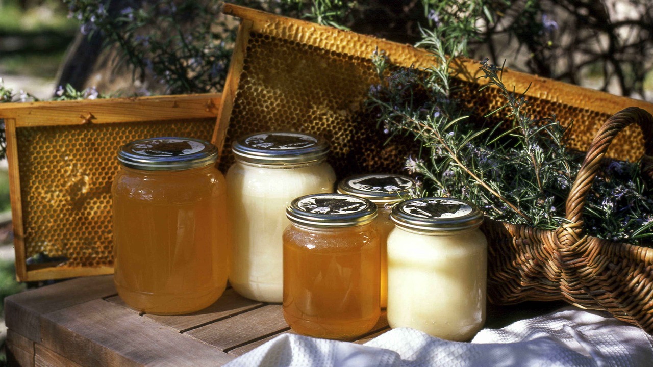 Photo of Others in Montelimar