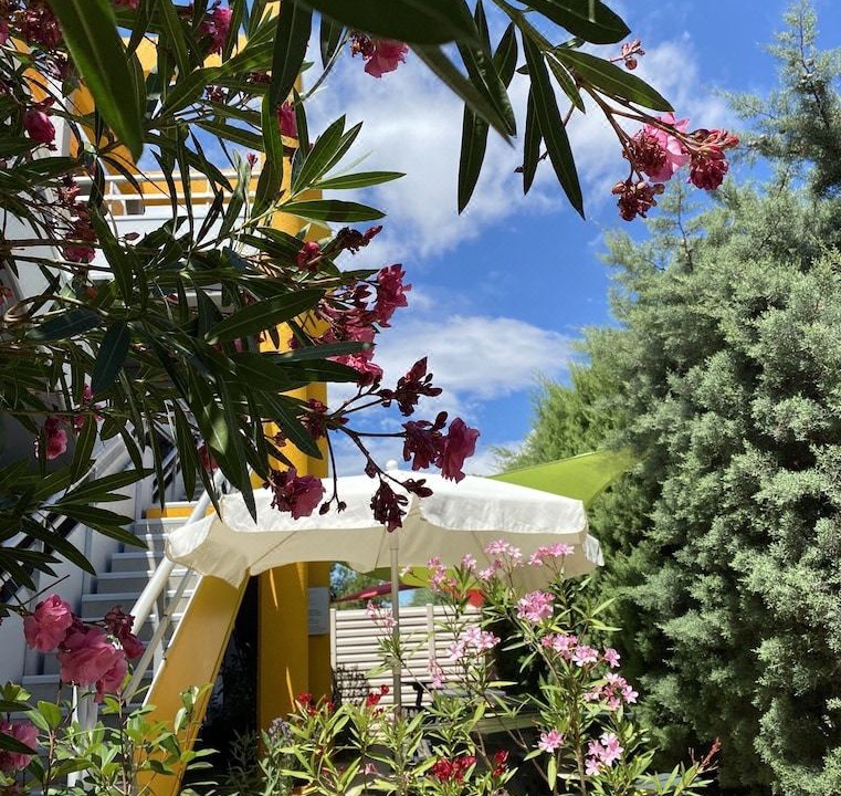 Photo of Others in Perpignan