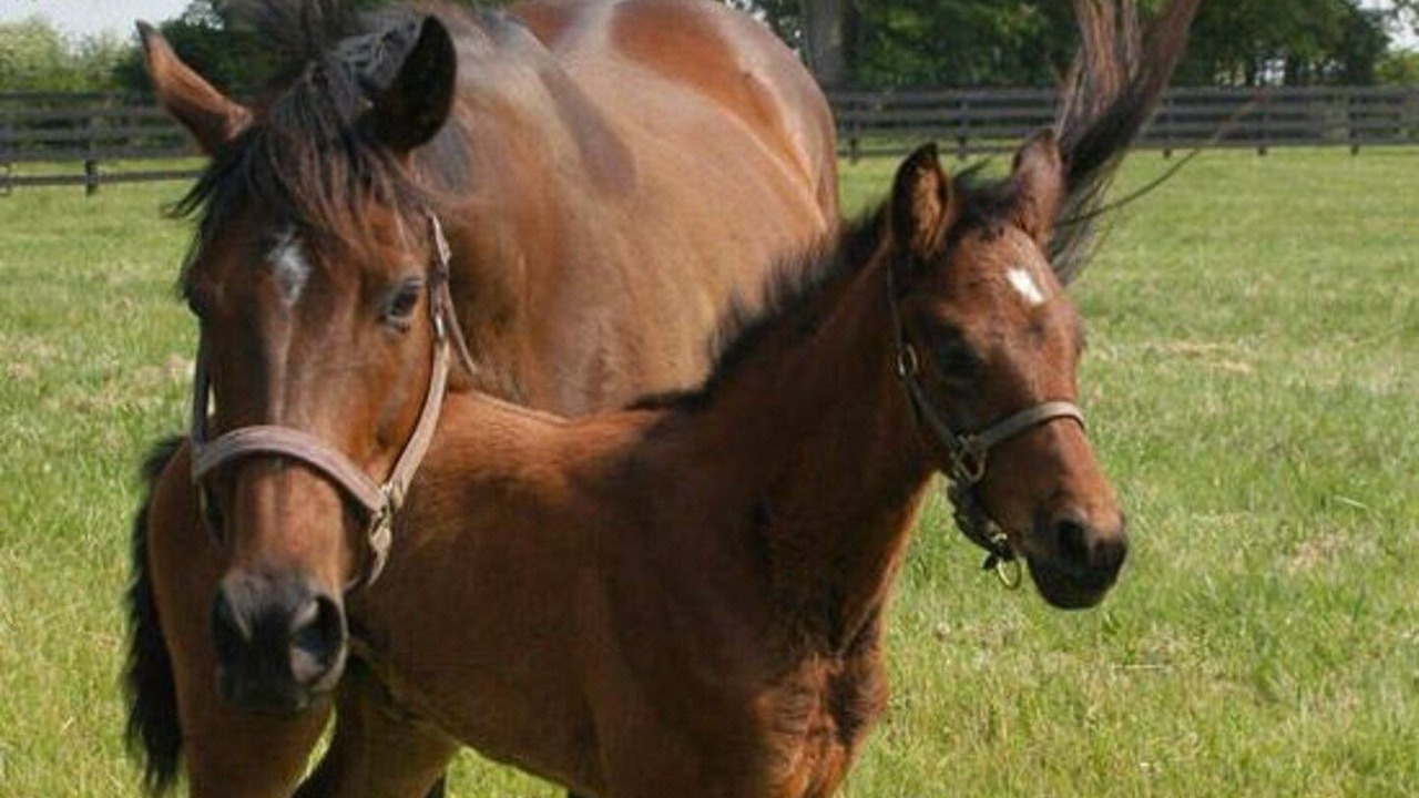 Photo of Others in Paducah