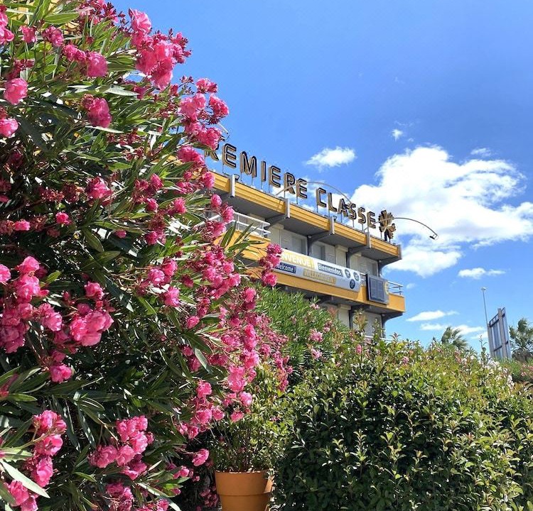 Photo of Others in Perpignan