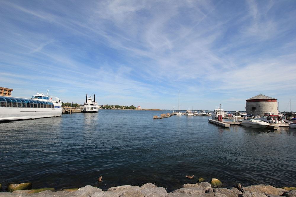 Photo of Others in Kingston