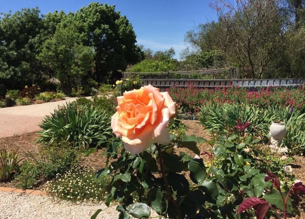 Photo of Others in Upper Wakefield