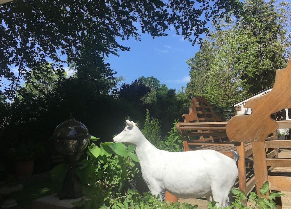 Photo of Others in Rushmoor District