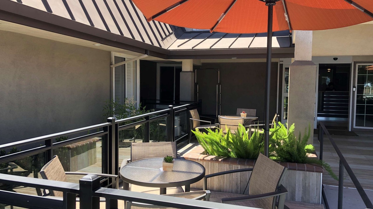 Photo of Others in Snail