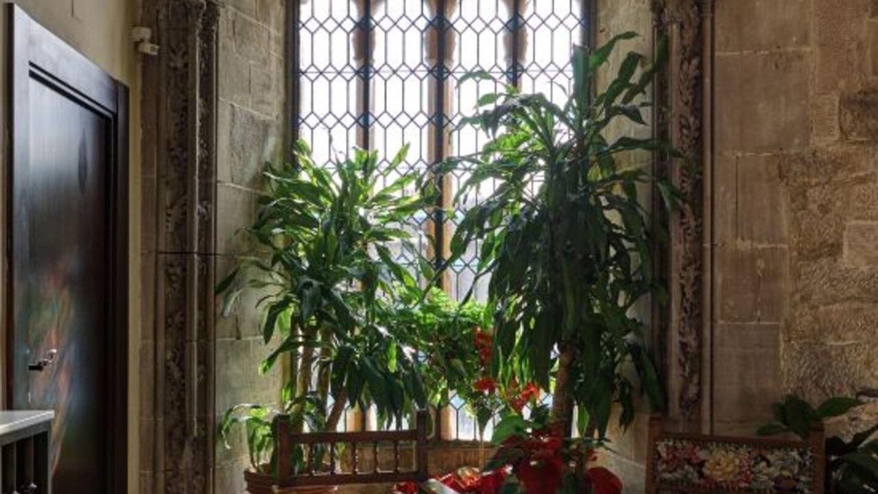 Photo of Others in Olite