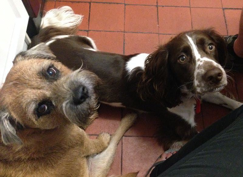 Photo of Others in Dover