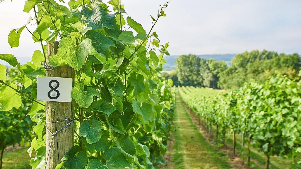 Photo of Others in Langford