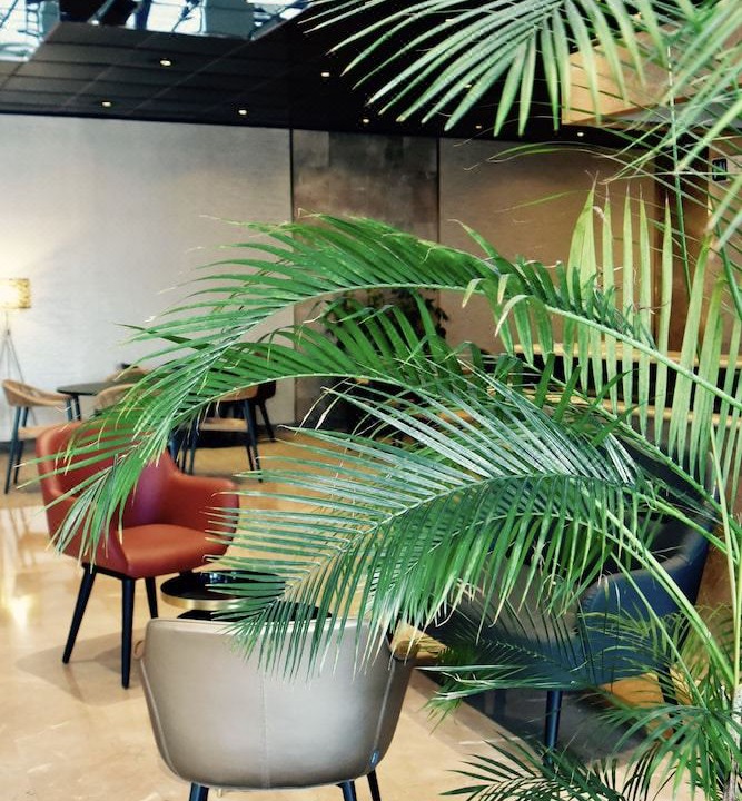 Photo of Patio Balcony in Charenton-le-Pont