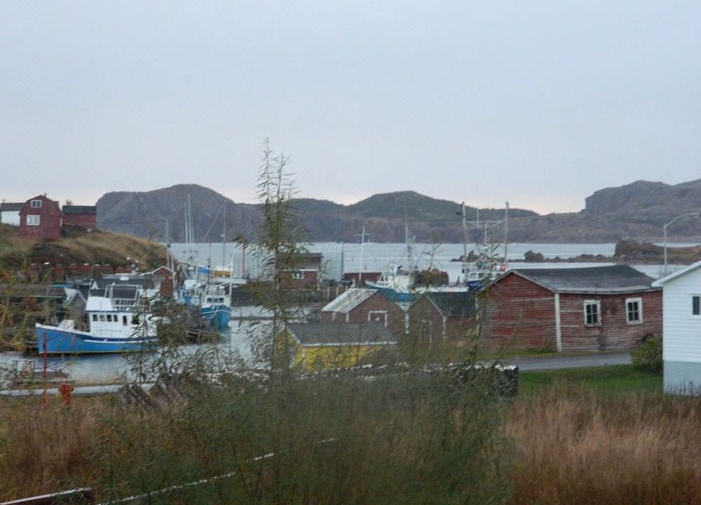 Photo of Others in Twillingate