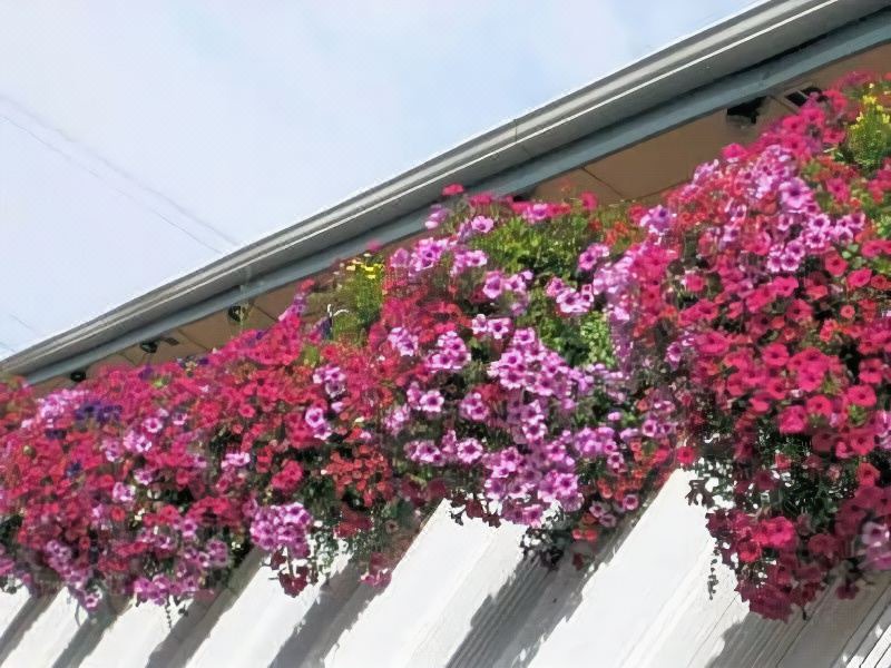 Photo of Outdoor in Pendleton