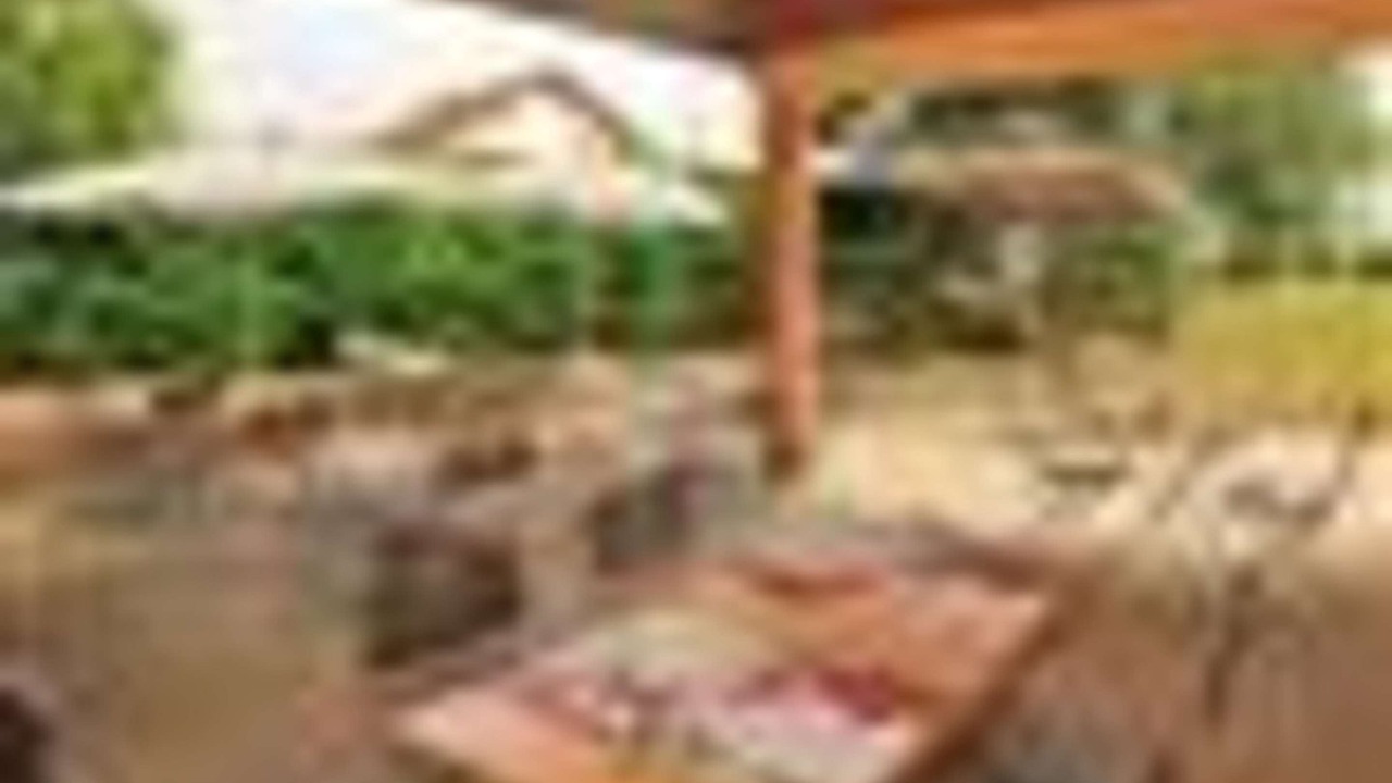 Photo of Others in Avermes