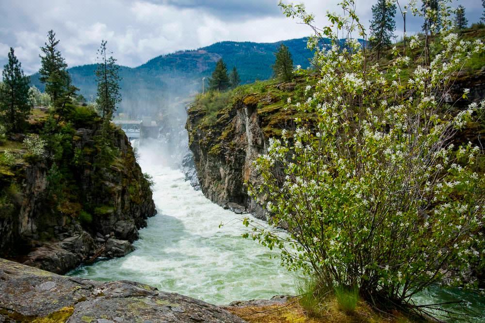 Photo of Others in Coeur d'Alene