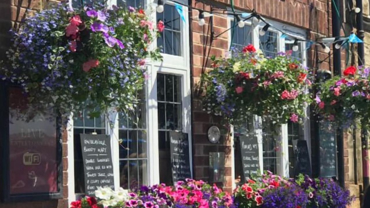 Photo of Others in Whitby