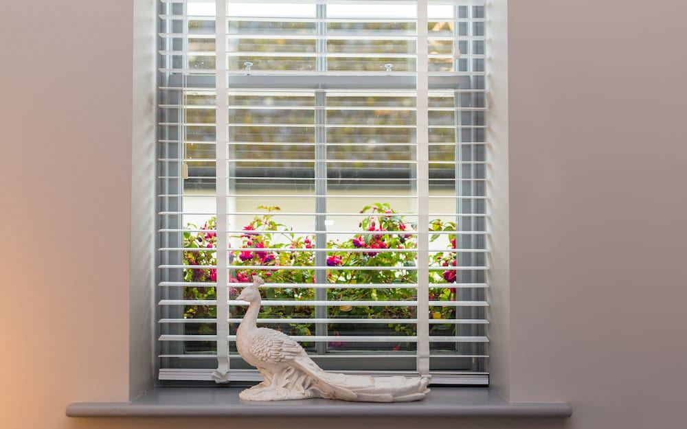 Photo of Others in Whitehaven