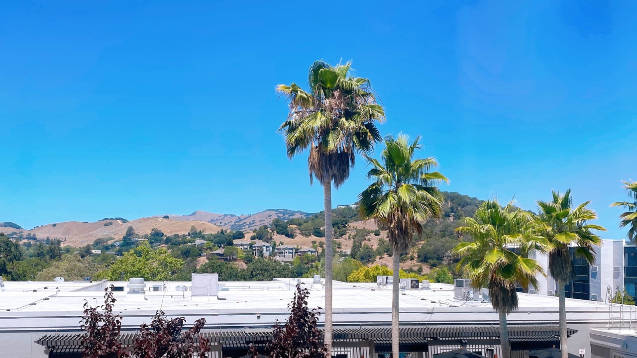 Photo of Others in San Rafael