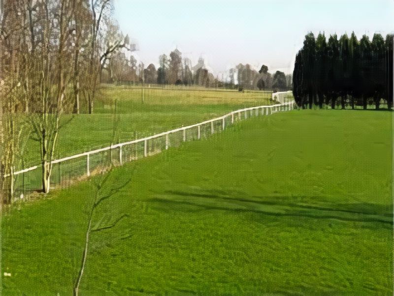 Photo of Others in Arundel