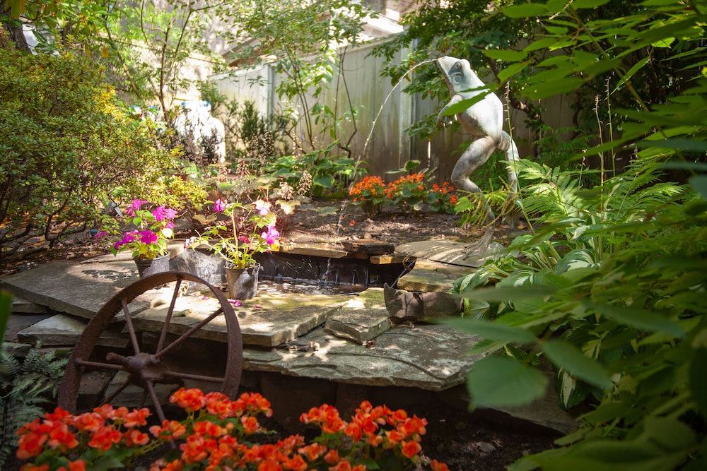 Photo of Others in Downtown Halifax