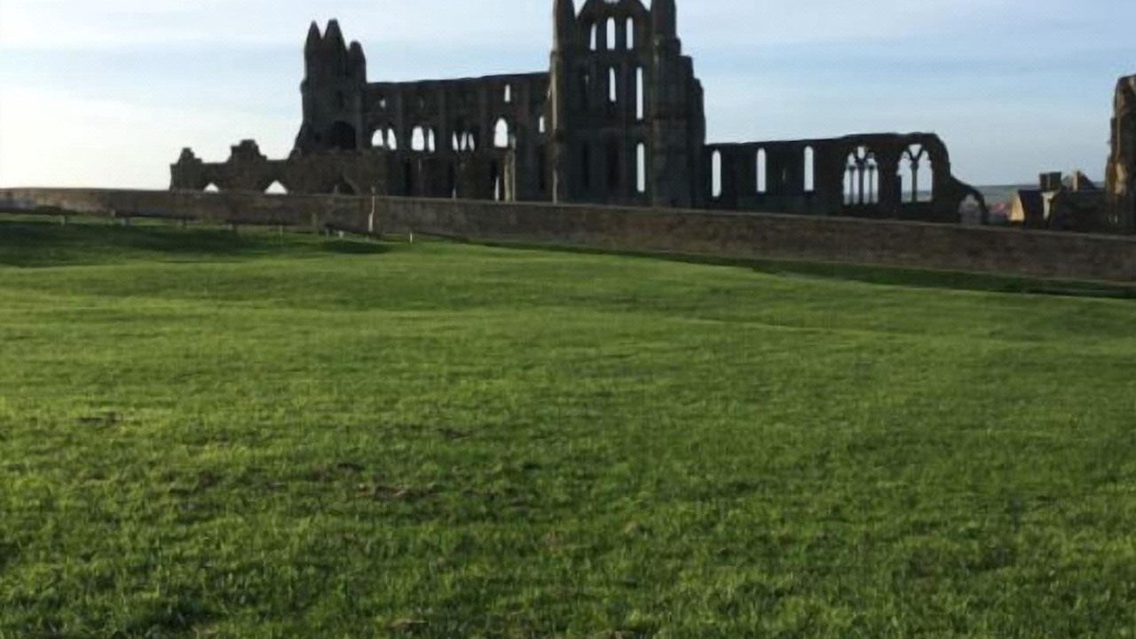 Photo of Others in Whitby