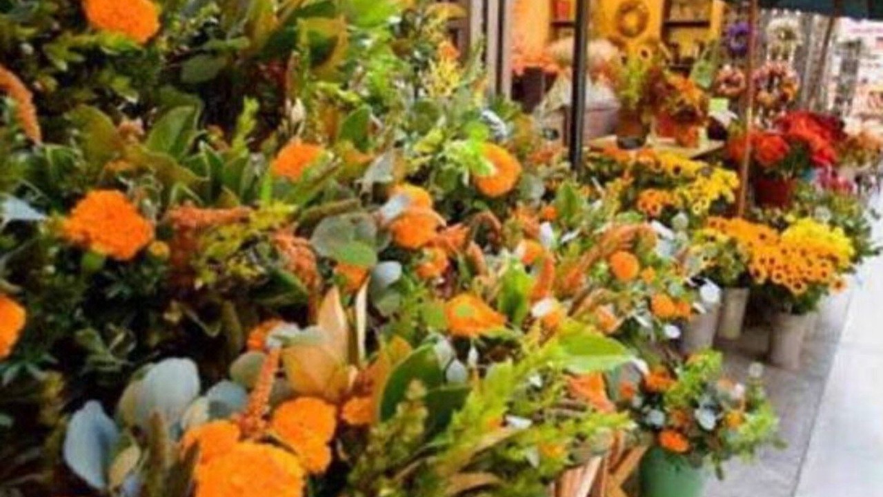 Photo of Others in San Ramon