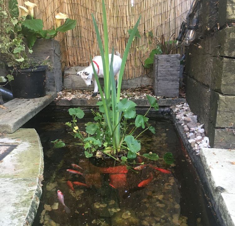 Photo of Others in Rushmoor District