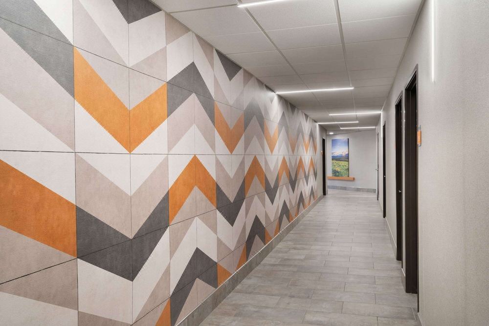 Photo of Others in Springfield