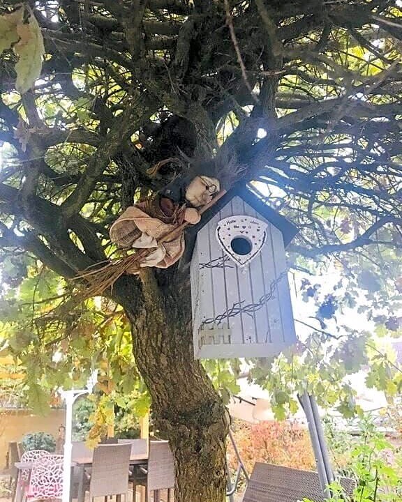 Photo of Buildings in Gries