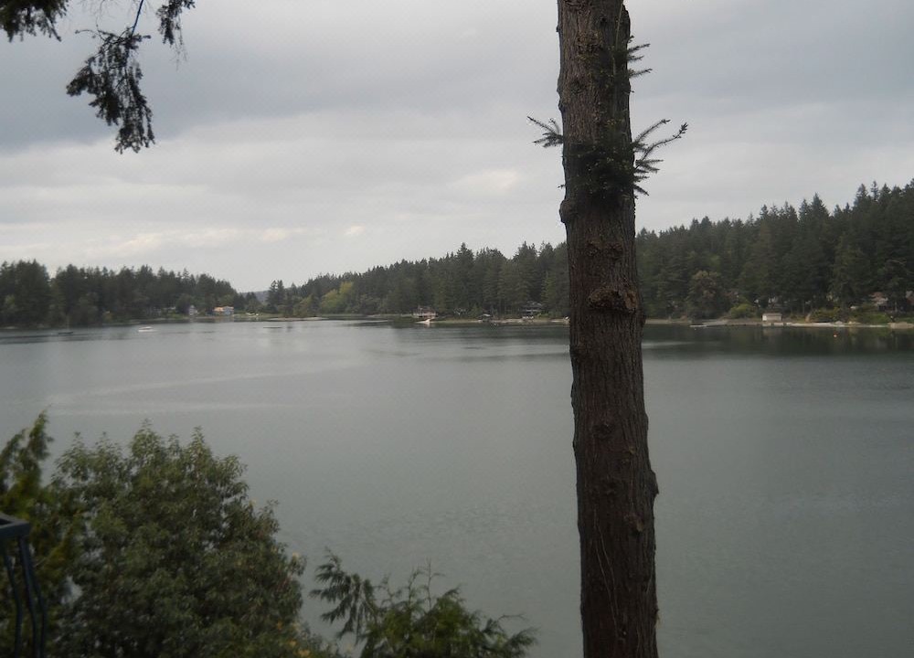 Photo of Outdoor in West Hills