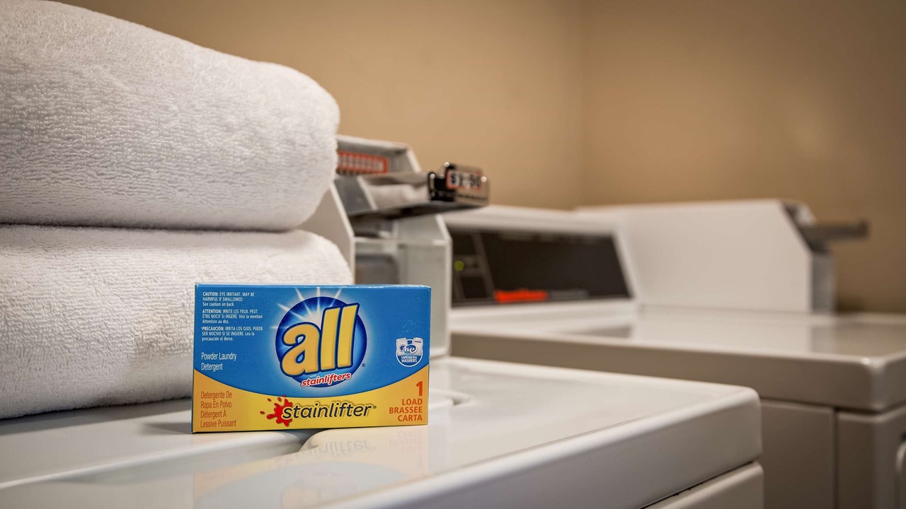 Photo of Others in Kelso